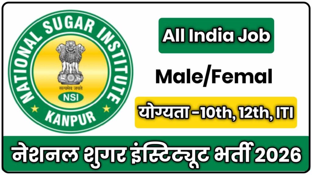 NSI Vacancy 2026